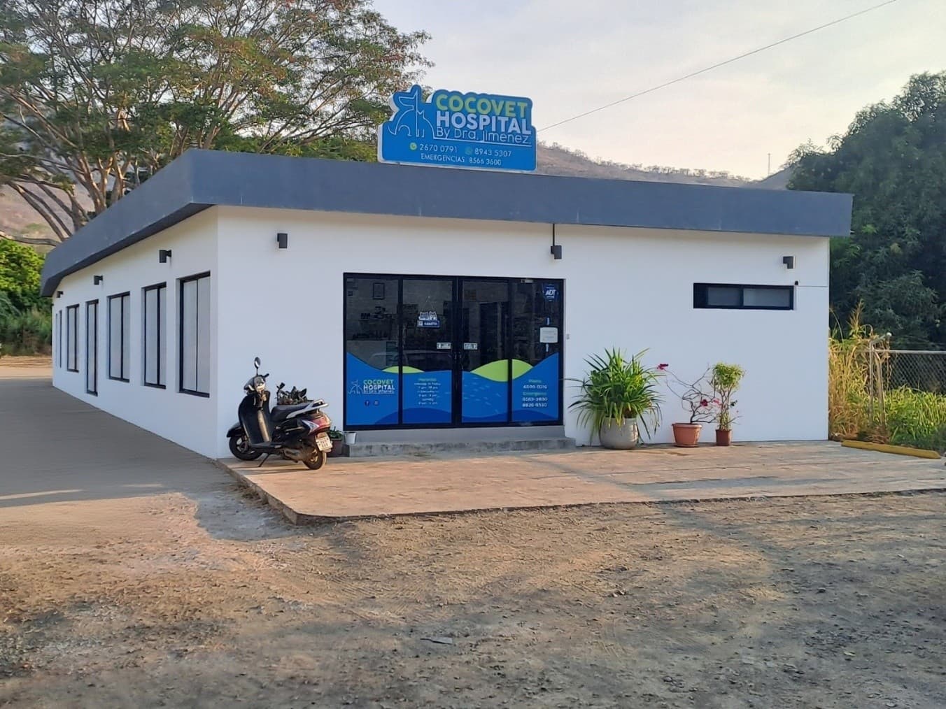 Hospital Veterinario CocoVet